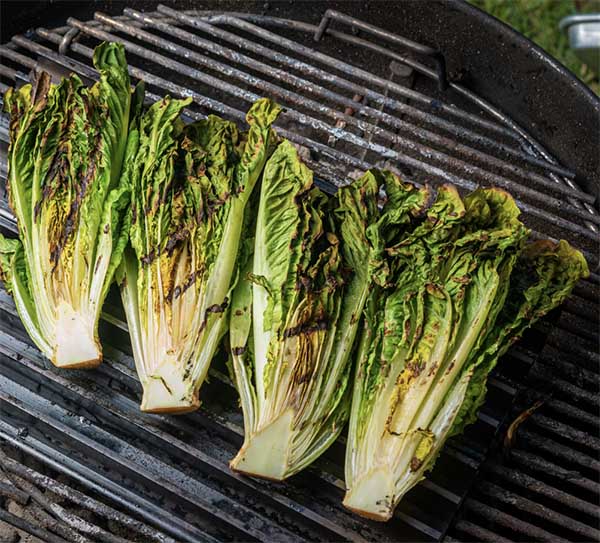 5 Reasons Why You Should Grow Romaine Lettuce for BBQ